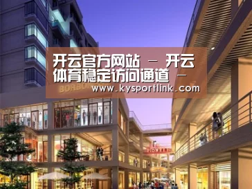 案例展示一