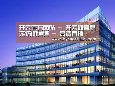 案例展示五