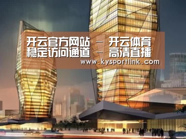 案例展示三