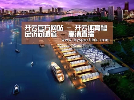 案例展示八