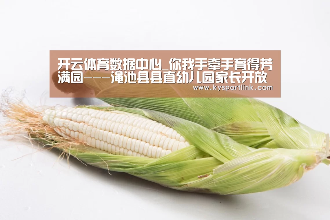 开云体育数据中心