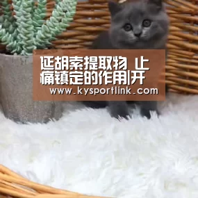 延胡索提取物 止痛镇定的作用|开云体育数据(图4) 开云体育数据中心