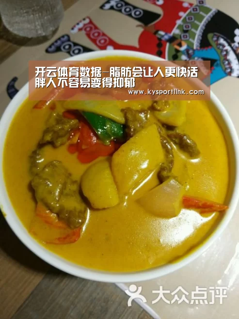 开云体育数据-脂肪会让人更快活 胖人不容易变得抑郁(图2) 开云直播