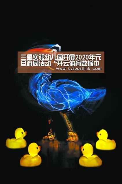 三星实验幼儿园开展2020年元旦游园活动“开云体育数据中心”(图2) 开云直播
