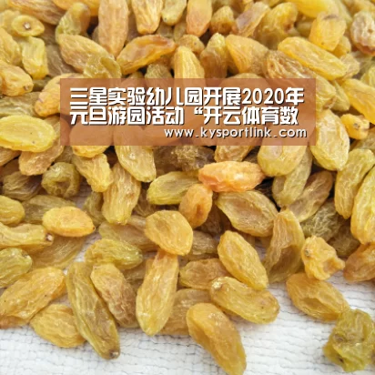 三星实验幼儿园开展2020年元旦游园活动“开云体育数据中心”(图3) 开云直播