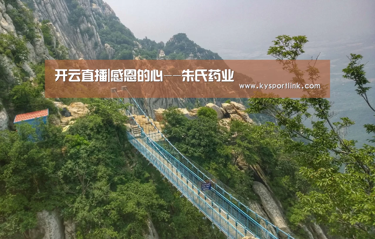 开云体育官网