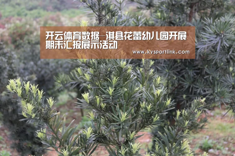 开云体育数据-淇县花蕾幼儿园开展期末汇报展示活动(图4) 开云直播