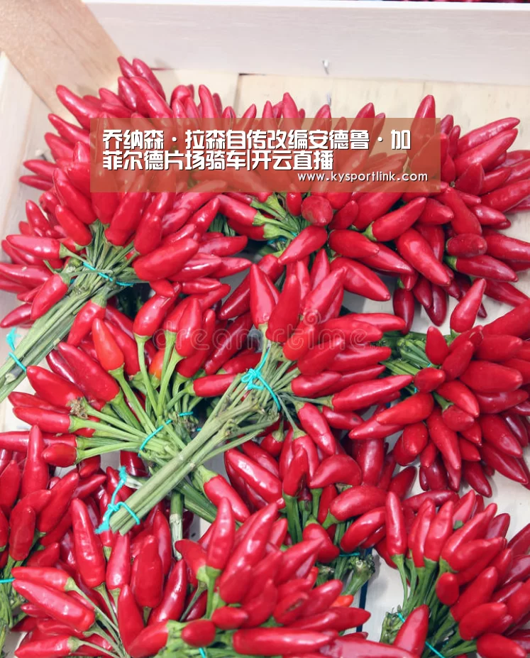 开云体育官网