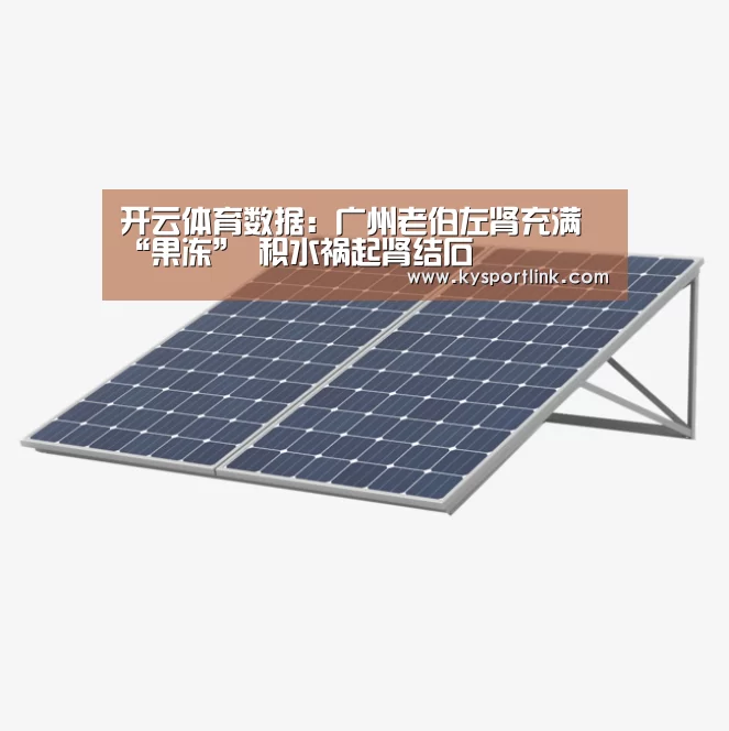 开云体育数据中心