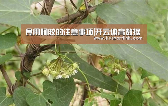 开云直播